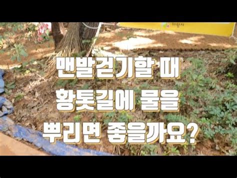 맨발걷기할 때 황톳길에 물을 뿌리면 좋을까요 YouTube