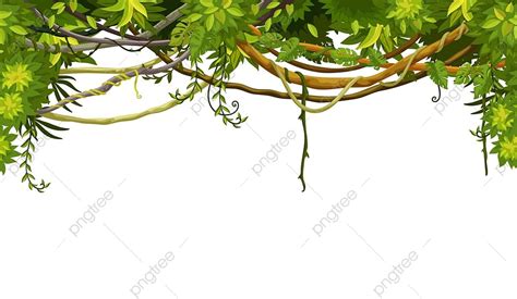 Jungle Vine Vector Design Images, Cartoon Tropical Jungle Liana Branch ...