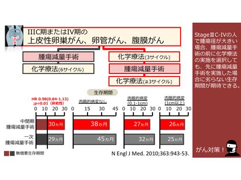 日本がん対策図鑑 【卵巣がん：腫瘍減量手術】「化学療法→腫瘍減量手術」vs「腫瘍減量手術→化学療法」