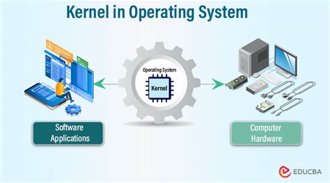 Kernel in Operating System: Types and Impact Explained