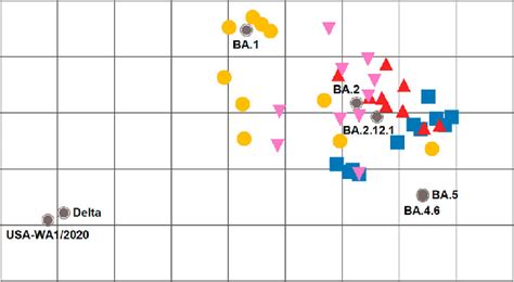 Antigenic cartography of SARS-CoV-2 FFRNT 50 data using mouse ...