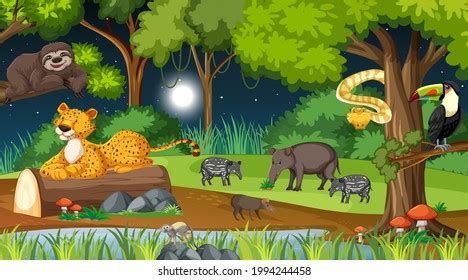 Wild Animals Nature Forest Night Scene Stock Vector (Royalty Free ...