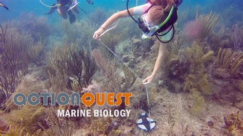 Marine Biology Camps And Programs For Teens 2025 Actionquest