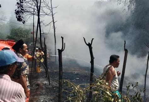 Gudang Rongsokan Di Gebangan Probolinggo Terbakar