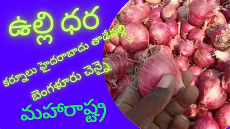 ఉలల ధర All market onion price YouTube