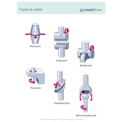 What Are The Different Types Of Joints And Their Functions Design Talk