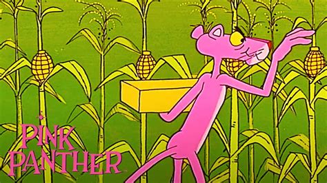 Pink Panther Prances Through Cornfields 35 Minute Compilation The