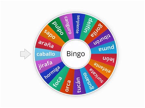 Bingo De Palabras Spin The Wheel