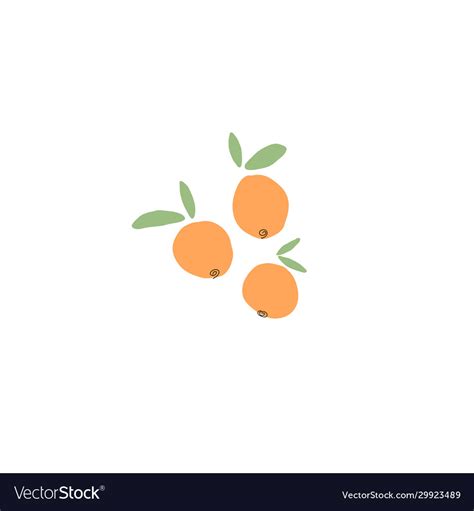 Orange Citrus Fruits Doodle Hand Drawn Royalty Free Vector