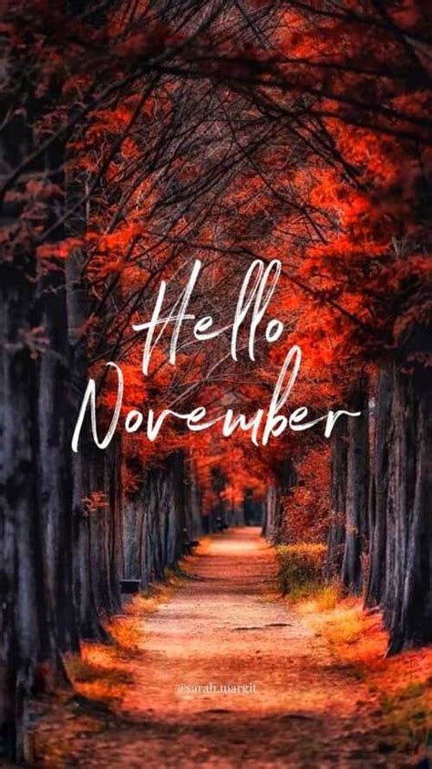 Hello November Wallpaper - iXpap