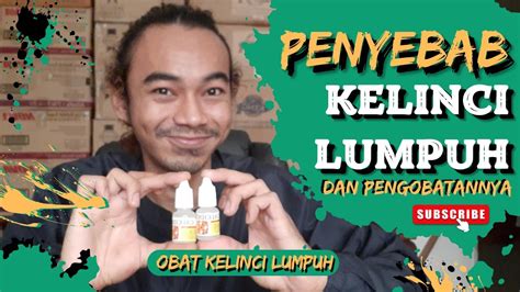 PENYEBAB KELINCI LUMPUH DAN CARA MENGOBATI KELINCI LUMPUH Kelinci