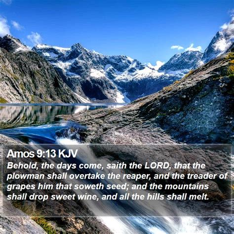 Amos Kjv Bible Verse Images