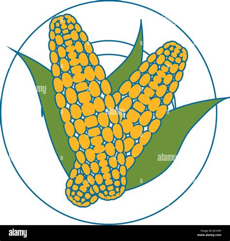 Corns Vegetables Icon Over White Background Vector Illustration Stock