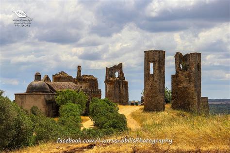 Castelo De Montemor O Novo Portugal Laurus Nobilis Natural