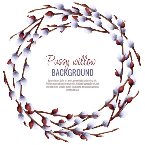 Premium Vector Spring Background With Pussy Willow Branches Postcard