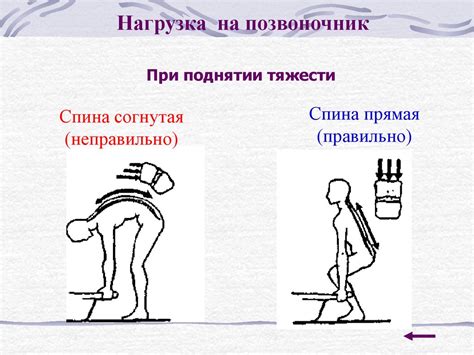 Профилактика и коррекция нарушений осанки средствами гимнастических ...
