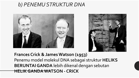 Substansi Genetika Kelas 12 SMA SMT 1 PPT