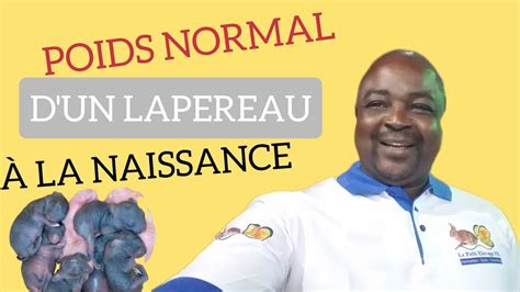 quel est le poids normal d un lapereaux à la naissance voici la