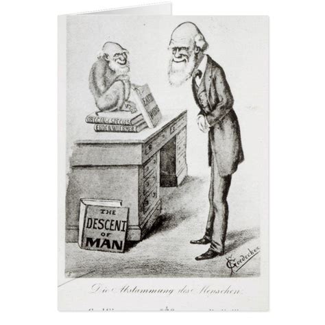 The Descent of Man | Zazzle | Satirical cartoons, The descent, Darwin