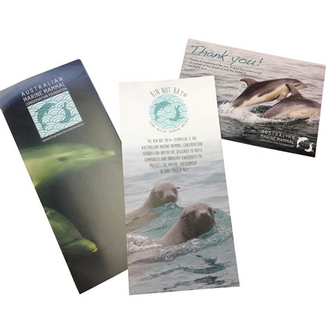 Marine Mammal Foundation on Behance