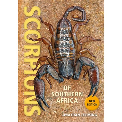 Scorpions Of Southern Africa Jonathan Leeming Camp And Climb