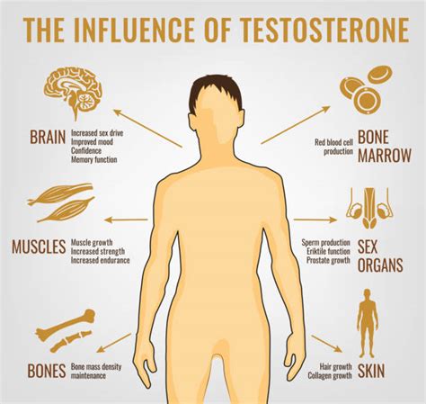 Testosterone Illustrations Royalty Free Vector Graphics And Clip Art