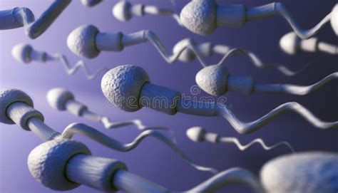 Male Sperm Cells Moving To The Left Stock Illustration Illustration