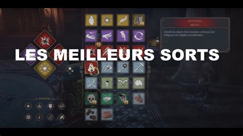 Hogwarts Legacy NEW LES MEILLEURS SORTS Et COMBOS YouTube