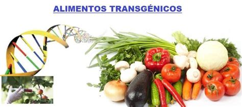 Ventajas y Desventajas de los Alimentos Transgénicos Cuadro Comparativo