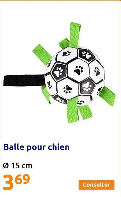 Promo Balle Pour Chien Chez Action ICatalogue Fr