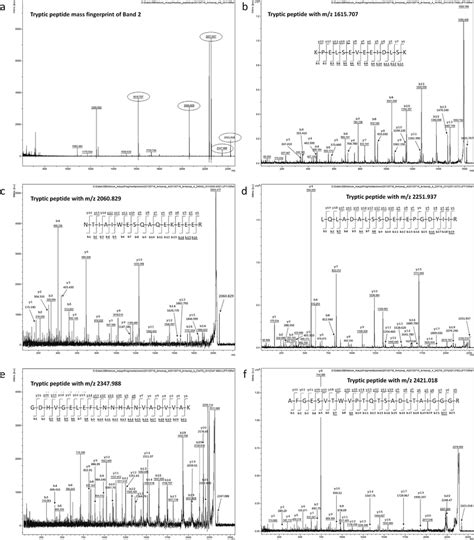 Mass Spectrometry Analyses Of Band 2 A Maldi Tof Mass Spectrum Of The