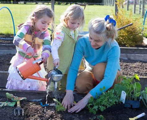 KS1 Plants | Growing and Caring for Them