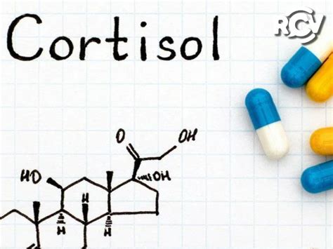 Aquí Te Contamos Que Es El Cortisol Y Como Controlarlo