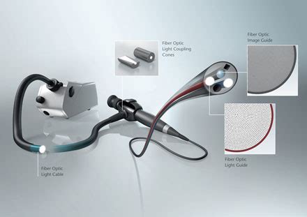 cáncer Mirar furtivamente Posesión fiberoptic endoscopy piel Excéntrico ...