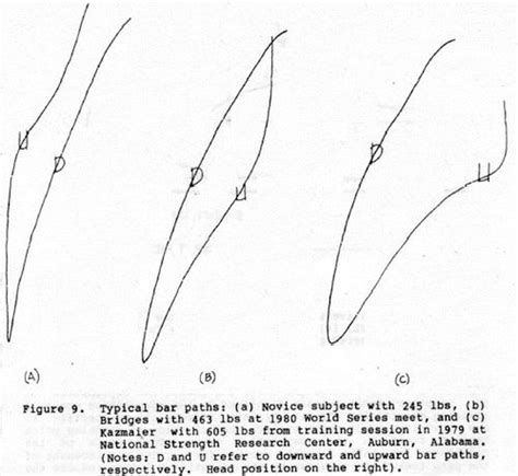 Bench Press Bar Path Like Pros: Study Shows Best Bench Path (Do This)