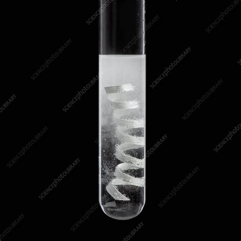 Magnesium Acid Reaction Stock Image C Science Photo Library