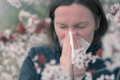 Alergia Estacional Cinco Recomendaciones Efectivas Para Sanarla