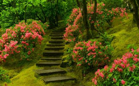 10 Japanese Gardens from the Heaven - YourAmazingPlaces.com