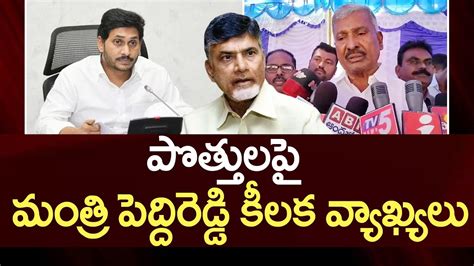 Minister Peddireddy Ramachandra Reddy Comments On Alliance Politics