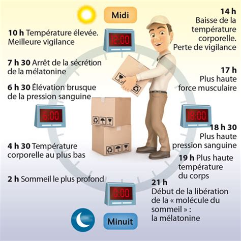 Document A Les Biorythmes En Quelques Points