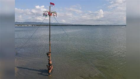 Kemeriahan Tradisi Lomba Panjat Pinang Di Teluk Kendari Foto Tempo Co