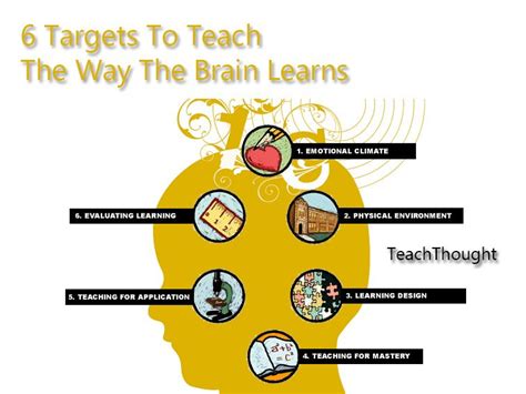 6 Targets To Teach The Way The Brain Learns