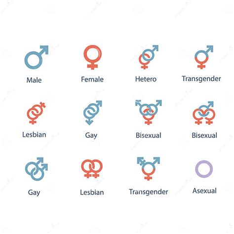 Vector Los Ejemplos Del Sex Symbol Masculino Y Femenino En Blanco Del