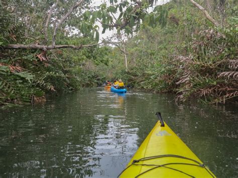 Panama Adventure Cruise Review - AdventureSmith Explorations