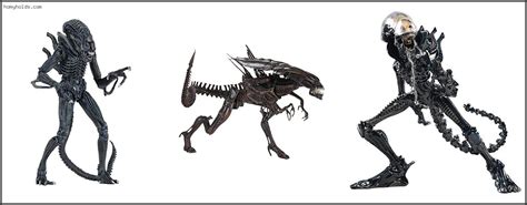 Top Best Xenomorph Figure Homy Holds