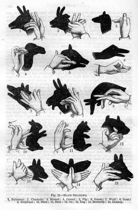 1000+ images about hand shadow puppet's on Pinterest | Hand shadow puppets, Birds in flight and ...