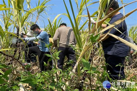 體驗不一樣的生活經驗 崑山科大辦特教生農村小旅行收穫滿滿 蕃新聞