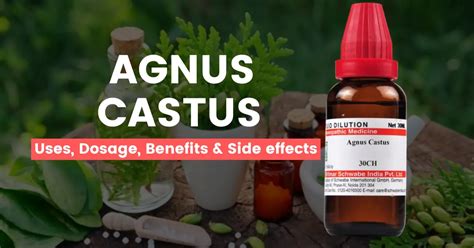 Agnus Castus 30 200 1m Q Uses Benefits And Side Effects