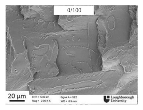 Sem Micrographs Of Fracture Surfaces From The Tensile Tests Of Pbat Pla