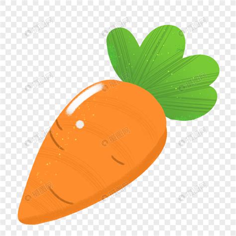 Cartoon Carrot Material Carrot Picture Cartoon Carrots Material Png